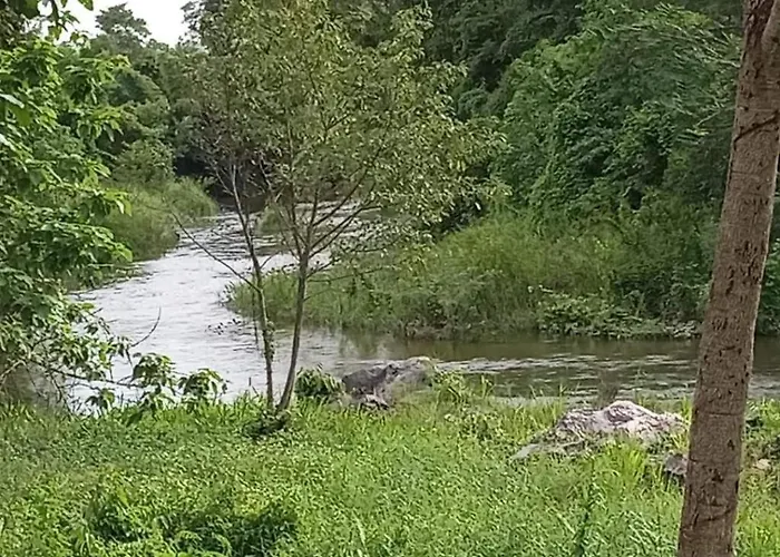At Suanphung Na Khun Saen