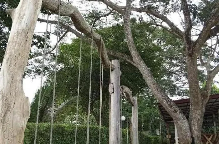At Suanphung 3*